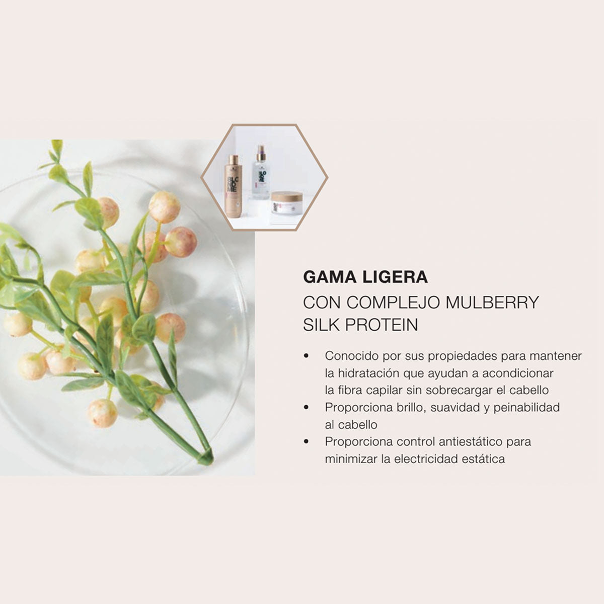 Shampoo ligero Blondme All Blondies 300 ml