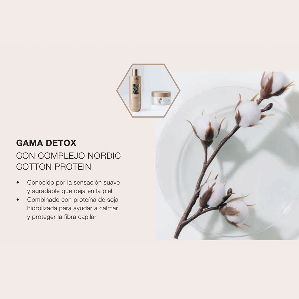 Shampoo Detox Blondme All Blondies 300 ml